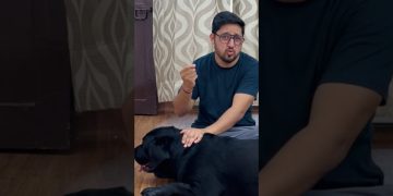 lucky ko ticks ho gae 😢 #doglover #trending #dog lucky ko ticks ho gae 😢 #doglover #trending #dog