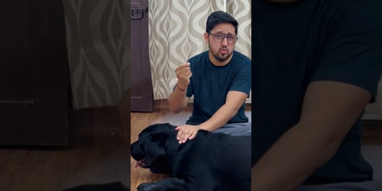 lucky ko ticks ho gae 😢 #doglover #trending #dog