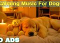 12 HOURS of Dog Calming Music For Dogs🎵💖Anti Separation Anxiety Relief Music🐶Sleep dog Healing🎵