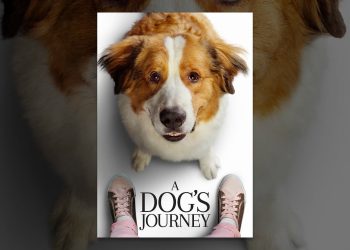 A Dog’s Journey