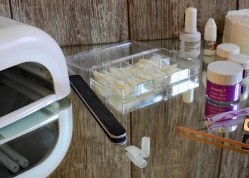 Building a Strong Bond: Top Training Tips for Obedience and Trust