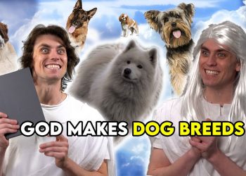 Compilation – God Makes Dog Breeds