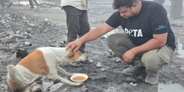 Fire in Ghaziabad: PETA India Rescues Dozens of Animals