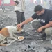 Fire in Ghaziabad: PETA India Rescues Dozens of Animals