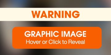 Healing and Hope: Brie’s Second Act Healing and Hope: Brie’s Second Act