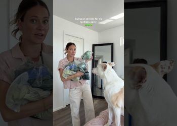 Help me decided which dress to wear! #dresses #birthday #party #dog #clothes #amazon