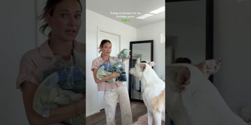 Help me decided which dress to wear! #dresses #birthday #party #dog #clothes #amazon