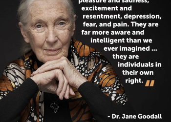 Honoring Jane Goodall’s Legacy of Compassion for All Animals