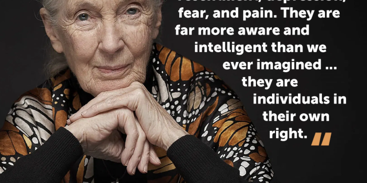 Honoring Jane Goodall’s Legacy of Compassion for All Animals
