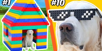 LEGO BUILDS for a DOG…