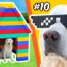 LEGO BUILDS for a DOG…