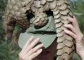 Pangolin Scale And Elephant Ivory Trafficking: Down But Not Out