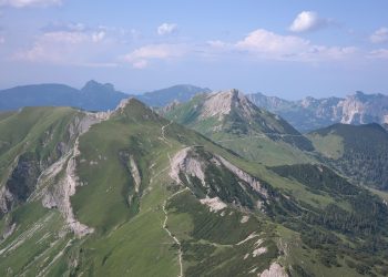 Pawsitive Bonding: Fun Dog Training Tips for Kids!