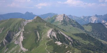 Pawsitive Bonding: Fun Dog Training Tips for Kids!