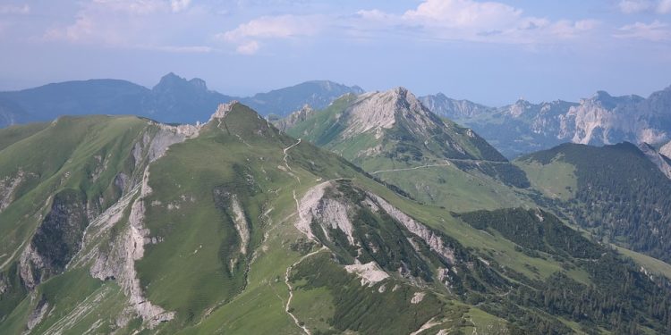 Pawsitive Bonding: Fun Dog Training Tips for Kids!