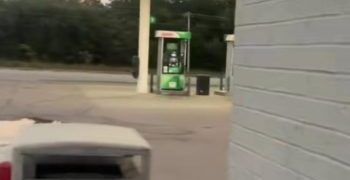 People Can’t Get Over This Abandoned Puppy’s Haunting Howl