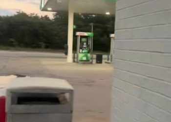 People Can’t Get Over This Abandoned Puppy’s Haunting Howl