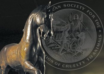 The Law That Launched a Movement for Animals