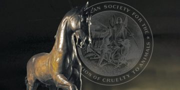 The Law That Launched a Movement for Animals