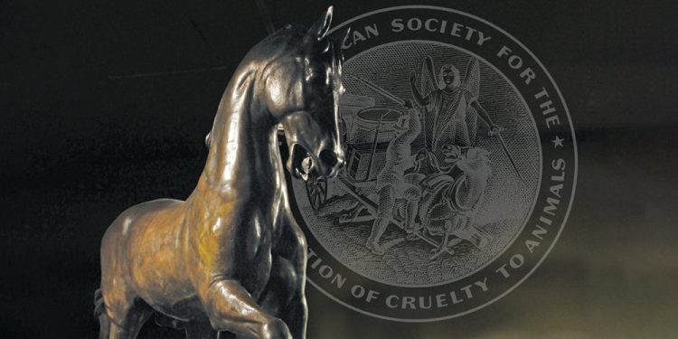 The Law That Launched a Movement for Animals