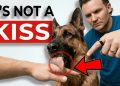 The Real Reason Your Dog Licks You (It’s NOT What You Think!)