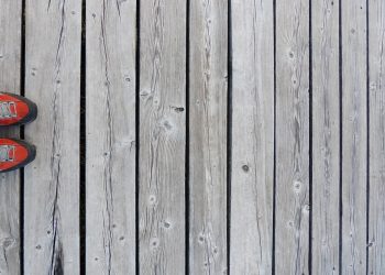 Training Your Dog to Listen: Strategies for Effective Obedience