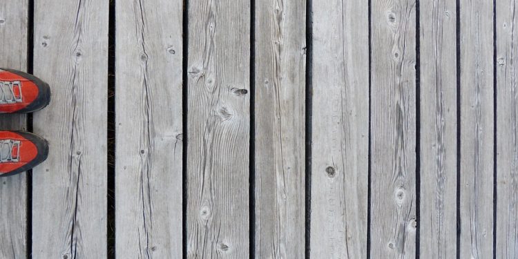 Training Your Dog to Listen: Strategies for Effective Obedience