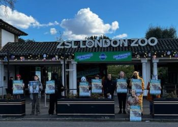 Zoo Awareness Day 2023 Appreciation Post