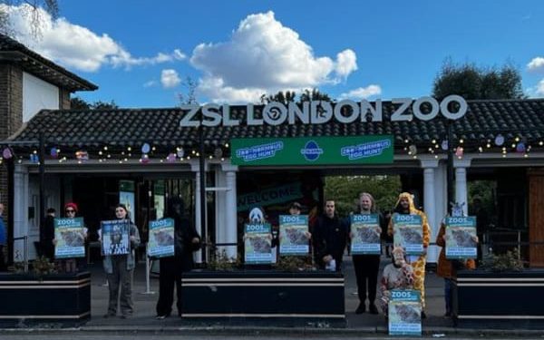 Zoo Awareness Day 2023 Appreciation Post