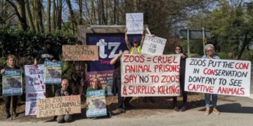 Zoo Awareness Weekend 2023 | Freedom for Animals Zoo Awareness Weekend 2023 | Freedom for Animals