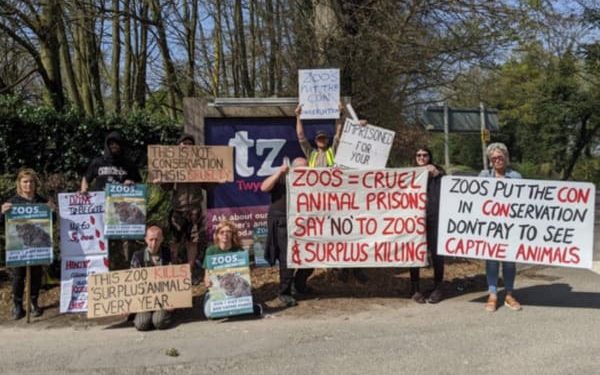 Zoo Awareness Weekend 2023 | Freedom for Animals