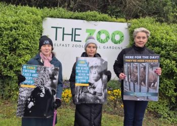 Zoo Awareness Weekend 2026 | Freedom for Animals