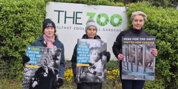 Zoo Awareness Weekend 2026 | Freedom for Animals