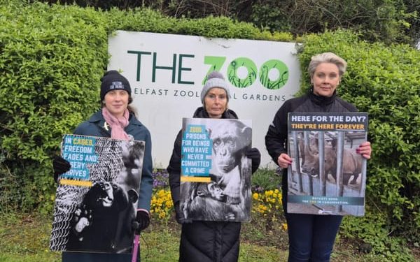 Zoo Awareness Weekend 2026 | Freedom for Animals