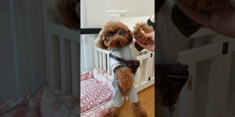 puppy playpen hack #puppy #dog #hack #dogowner #asmrsounds #shorts