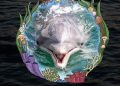 15-Year-Old Dolphin Dead at Florida Marine Park; Survivors MUST Be Sent to Sanctuary!