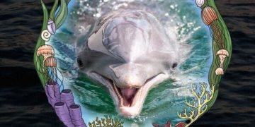 15-Year-Old Dolphin Dead at Florida Marine Park; Survivors MUST Be Sent to Sanctuary!