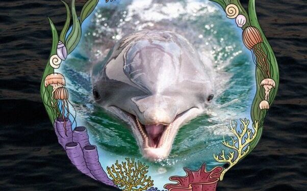 15-Year-Old Dolphin Dead at Florida Marine Park; Survivors MUST Be Sent to Sanctuary!