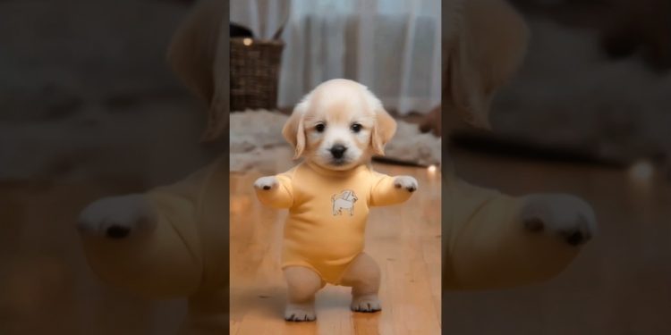 Dancing Puppy Deli 🐶😂 Cute Dog Shows Off Dance Moves