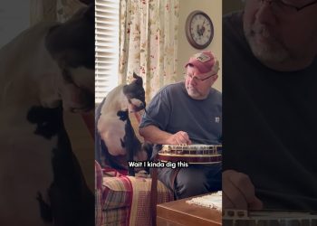 Dog Adorably Tilts Head to Man Tuning Banjo