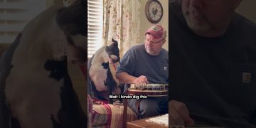 Dog Adorably Tilts Head to Man Tuning Banjo