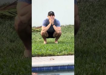 My dog FINALLY gets to go back in the pool! #dogsofyoutube #dog #dogs #pool #goldenretriever