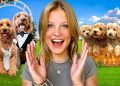 Our Dog got Married and had PUPPIES! THE MOVIE *Emotional* Our Dog got Married and had PUPPIES! THE MOVIE *Emotional*