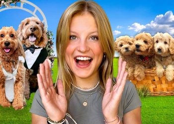Our Dog got Married and had PUPPIES! THE MOVIE *Emotional*