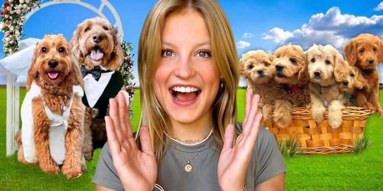 Our Dog got Married and had PUPPIES! THE MOVIE *Emotional*