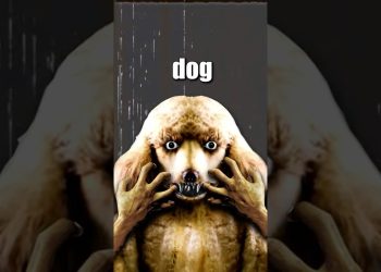 THE DOG MAN INCIDENT! 🐕