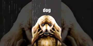 THE DOG MAN INCIDENT! 🐕