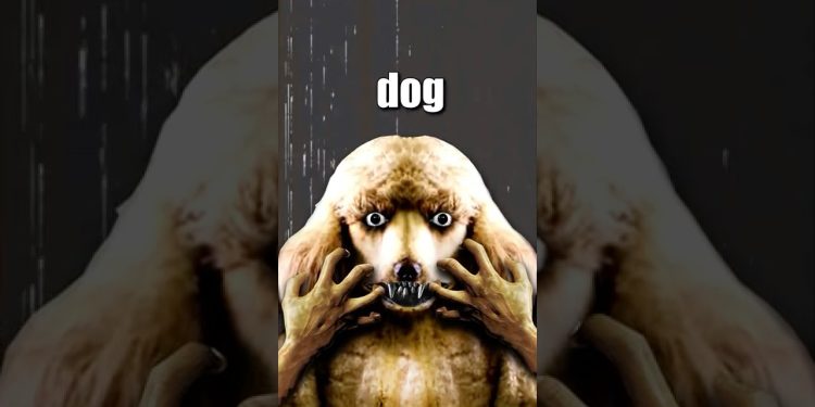 THE DOG MAN INCIDENT! 🐕