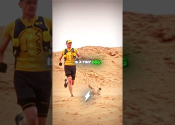 The Dog Wouldn’t Stop Chasing Him…😱🚨