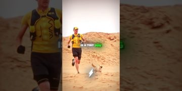 The Dog Wouldn’t Stop Chasing Him…😱🚨